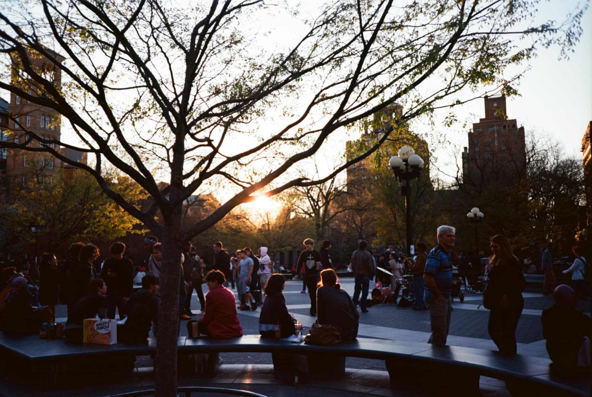 Peeking through Washington