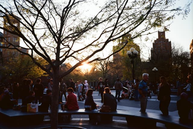 Peeking through Washington